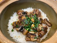 -红星光发煲仔饭(文海店)