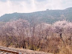 -居庸关长城