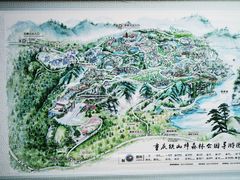 -铁山坪森林公园