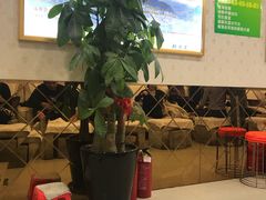 -郑远元专业修脚房(栖山路店)