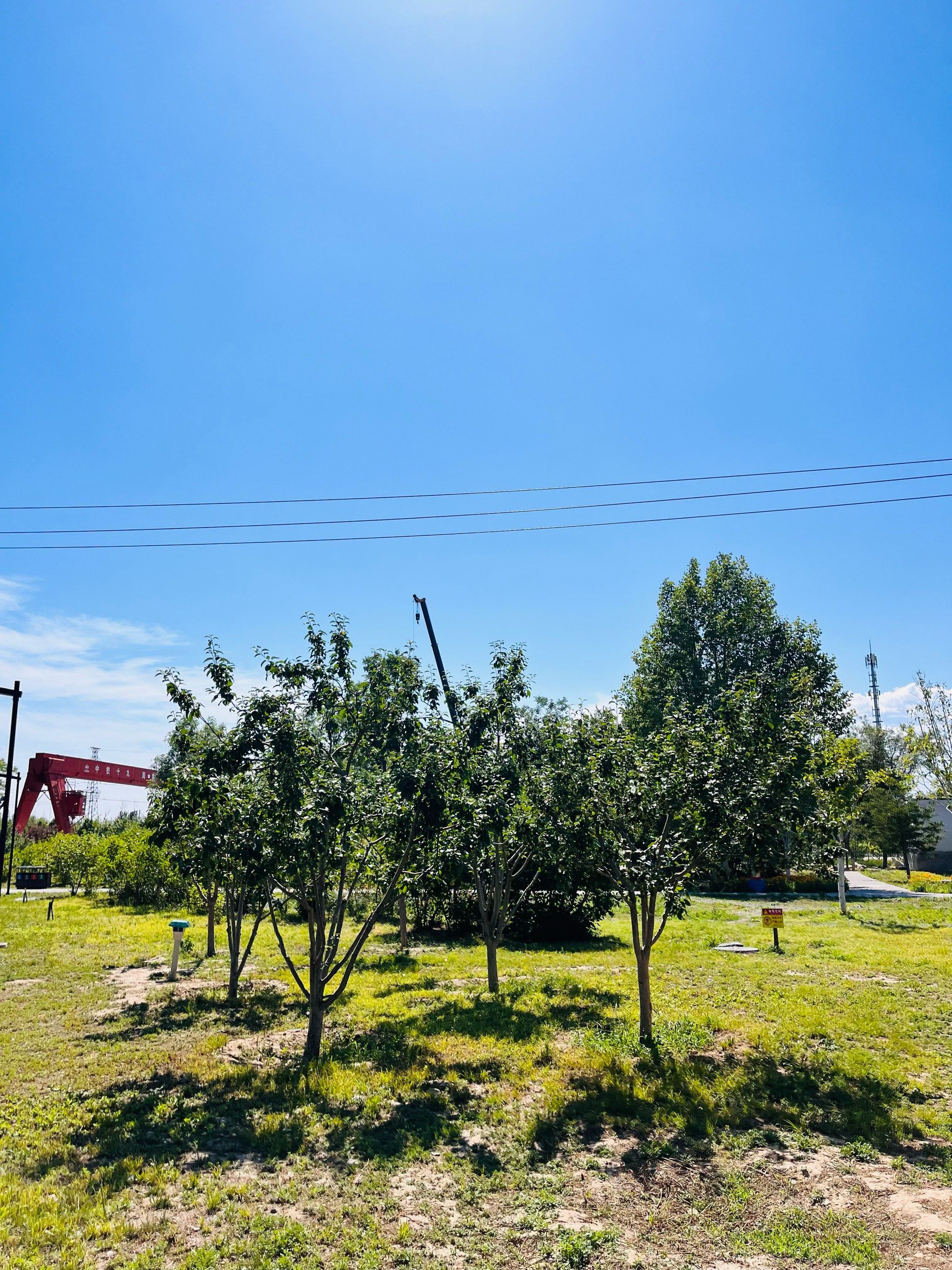 [爱心]霍营公园