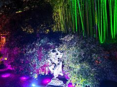 -杭州黄龙洞