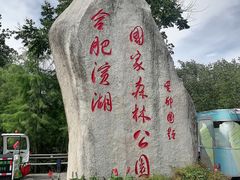 -合肥滨湖国家森林公园