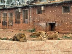 -昆明动物园