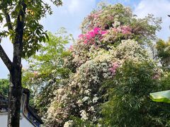 -深圳国际园林花卉博览园