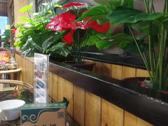 -鱼粤鲜淘米捞·中山脆肉鲩火锅(悦湖会店)