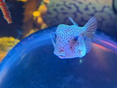 -沈阳海洋探索中心