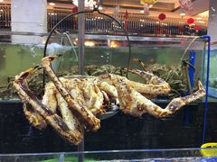-东江海鲜酒家(艺都分店)
