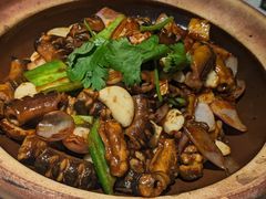 -老伙记海鲜码头(北滘店)
