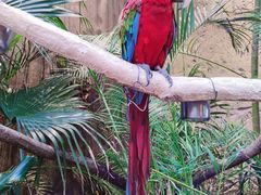 -杭州开元森泊度假乐园