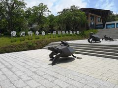 -广东惠东海龟国家级自然保护区