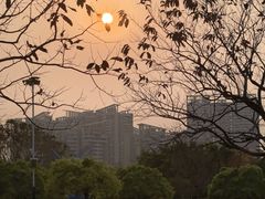 -南沙蒲洲花园