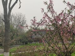 -武汉园博园(武汉自然博物馆)
