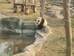 -武汉动物园
