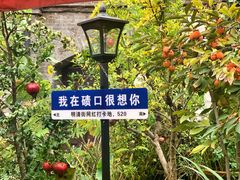 -印象吕梁•吕梁菜