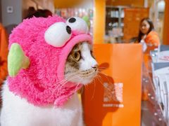 -MARSMART PETS火星宠物超市(1733店)