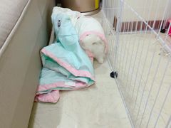 -金色印象·4K影院式足体养生(杨家坪西郊店)