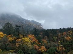 -墨居上隐·院子里火锅(峨眉店)