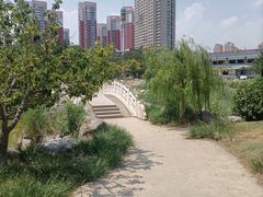 -绿岛公园(滨海新区)