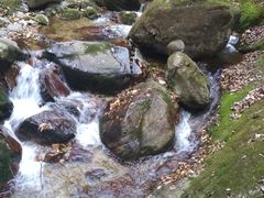 -牛背梁国家森林公园