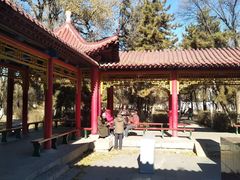 -青城公园