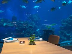 -海棠湾洲际-涛·海底餐厅·美人鱼·自助餐·海底隧道