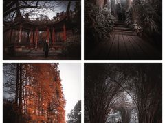 -武汉园博园(武汉自然博物馆)