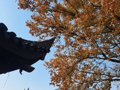 -惠山古镇·寄畅园