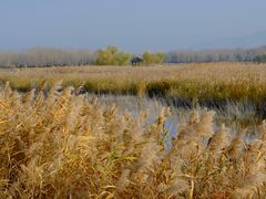 -野鸭湖国家湿地公园