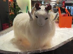 -百草滩羊清水涮羊肉·清真·宁夏盐池滩羊(莲花桥店)