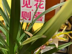 -章吴记喜瑞餐厅(东东城店)