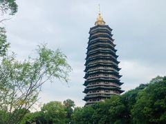 -听松楼·花园酒店·自助餐厅(红梅公园店)