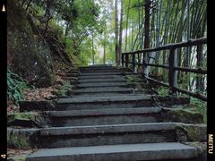 -东天目山风景区