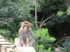 -山西通天峡景区
