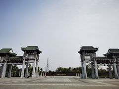 -王借岗森林公园