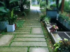 -谷咖啡·鲜花绿植花园餐厅