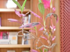 -二酉书店TOYOU BOOKS