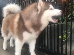 -TrueLove @ Neverland (Husky Cafe)