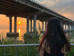 -宝安西湾红树林湿地公园