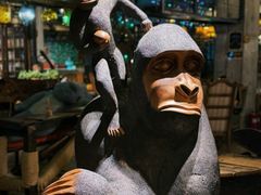 -Africafe(非洲咖啡)