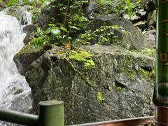 -藏龙百瀑风景区