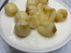 -义顺牛奶公司(新马路老店)