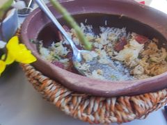 -鸽小宝(深圳首店)