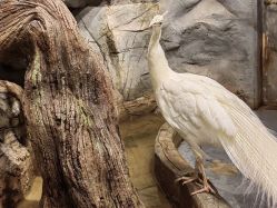 -Zoolung Zoolung动物主题公园(海信广场店)