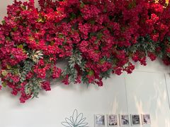 -花开餐厅(环湖中路店)