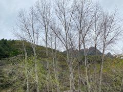 -云岫谷自然风景区
