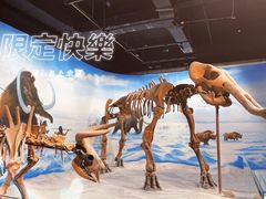 -辽宁古生物博物馆