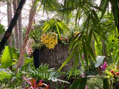 -北京植物园-展览温室