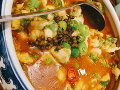 椒麻鸡-天和晟新京菜.水煮鱼.湘土菜(国展店)