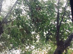 -boundaries籬苑(瑞光创意工厂-贰号院店)